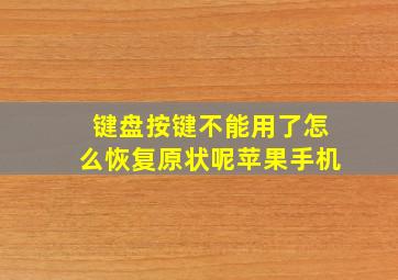 键盘按键不能用了怎么恢复原状呢苹果手机