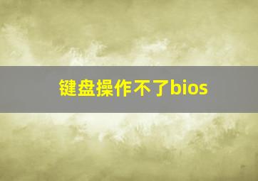 键盘操作不了bios