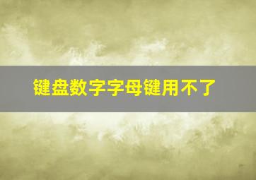 键盘数字字母键用不了