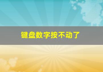 键盘数字按不动了