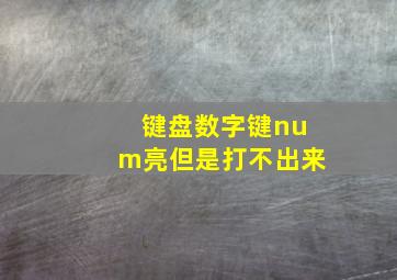 键盘数字键num亮但是打不出来