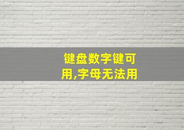 键盘数字键可用,字母无法用