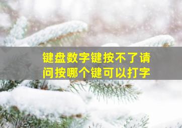 键盘数字键按不了请问按哪个键可以打字