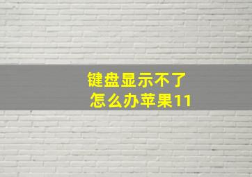 键盘显示不了怎么办苹果11