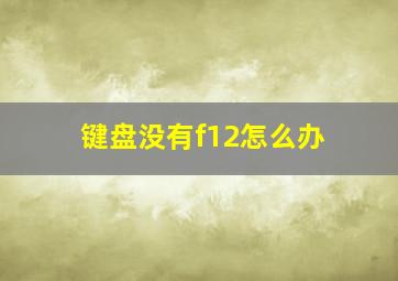 键盘没有f12怎么办