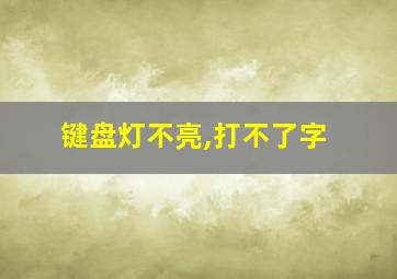 键盘灯不亮,打不了字