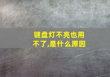 键盘灯不亮也用不了,是什么原因