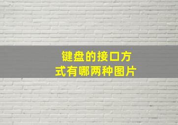 键盘的接口方式有哪两种图片