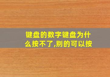 键盘的数字键盘为什么按不了,别的可以按