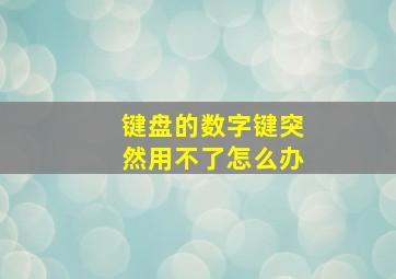 键盘的数字键突然用不了怎么办