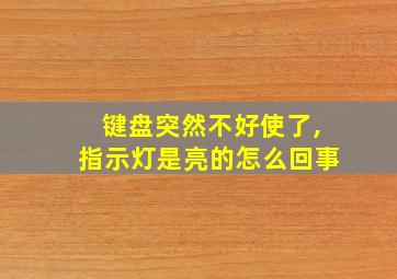 键盘突然不好使了,指示灯是亮的怎么回事