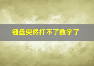 键盘突然打不了数字了