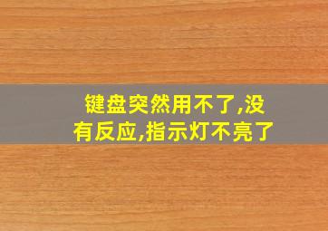 键盘突然用不了,没有反应,指示灯不亮了