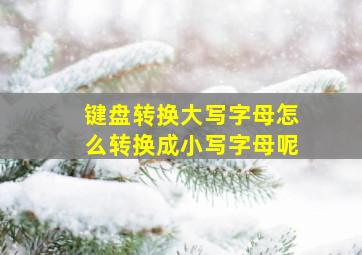 键盘转换大写字母怎么转换成小写字母呢