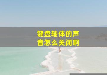 键盘轴体的声音怎么关闭啊