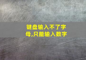 键盘输入不了字母,只能输入数字