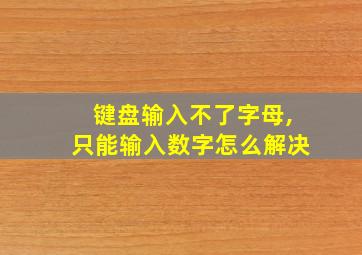 键盘输入不了字母,只能输入数字怎么解决