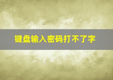 键盘输入密码打不了字