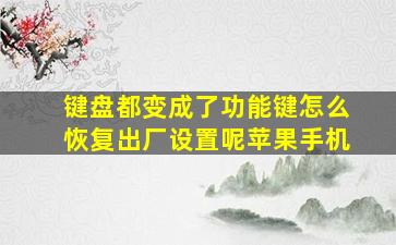 键盘都变成了功能键怎么恢复出厂设置呢苹果手机