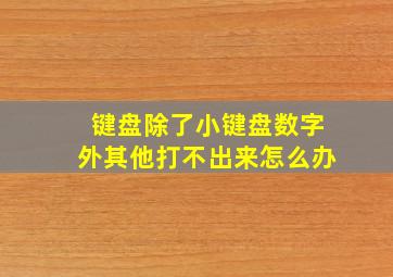 键盘除了小键盘数字外其他打不出来怎么办