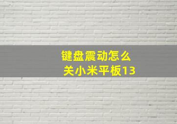 键盘震动怎么关小米平板13