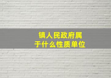 镇人民政府属于什么性质单位