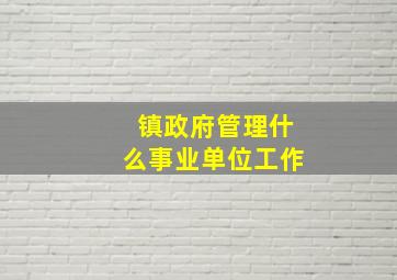 镇政府管理什么事业单位工作