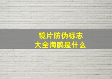 镜片防伪标志大全海鸥是什么