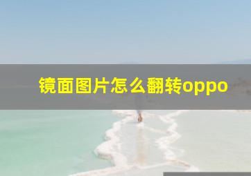 镜面图片怎么翻转oppo