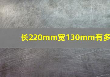 长220mm宽130mm有多大