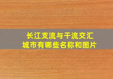 长江支流与干流交汇城市有哪些名称和图片