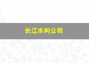 长江水利公司