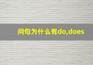 问句为什么有do,does