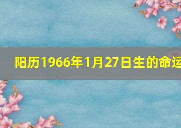 阳历1966年1月27日生的命运