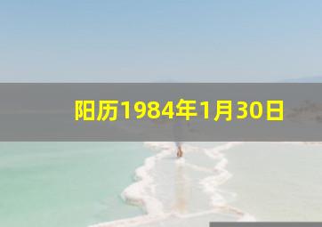 阳历1984年1月30日