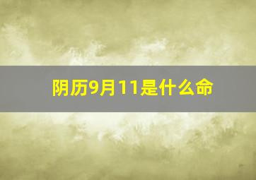 阴历9月11是什么命