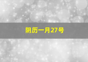 阴历一月27号