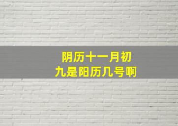 阴历十一月初九是阳历几号啊