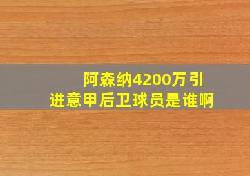 阿森纳4200万引进意甲后卫球员是谁啊