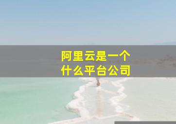 阿里云是一个什么平台公司