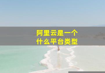 阿里云是一个什么平台类型