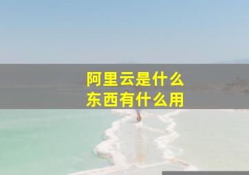 阿里云是什么东西有什么用