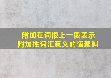 附加在词根上一般表示附加性词汇意义的语素叫