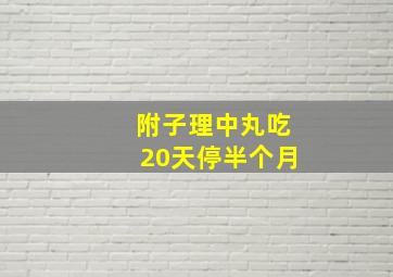 附子理中丸吃20天停半个月