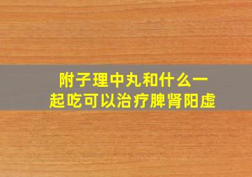 附子理中丸和什么一起吃可以治疗脾肾阳虚