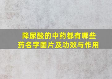 降尿酸的中药都有哪些药名字图片及功效与作用