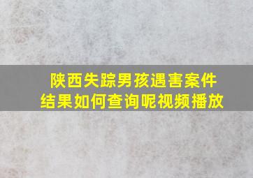 陕西失踪男孩遇害案件结果如何查询呢视频播放