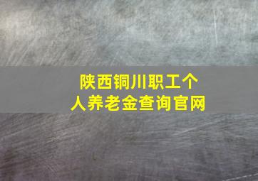 陕西铜川职工个人养老金查询官网