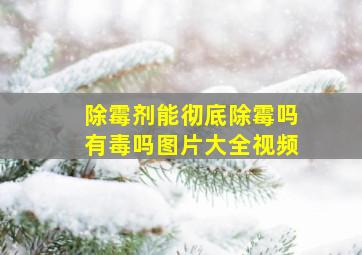 除霉剂能彻底除霉吗有毒吗图片大全视频