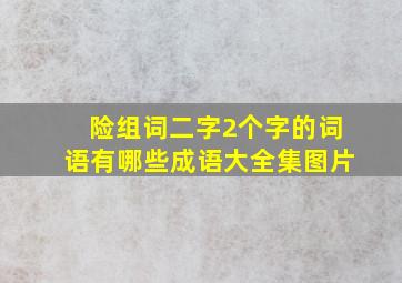 险组词二字2个字的词语有哪些成语大全集图片